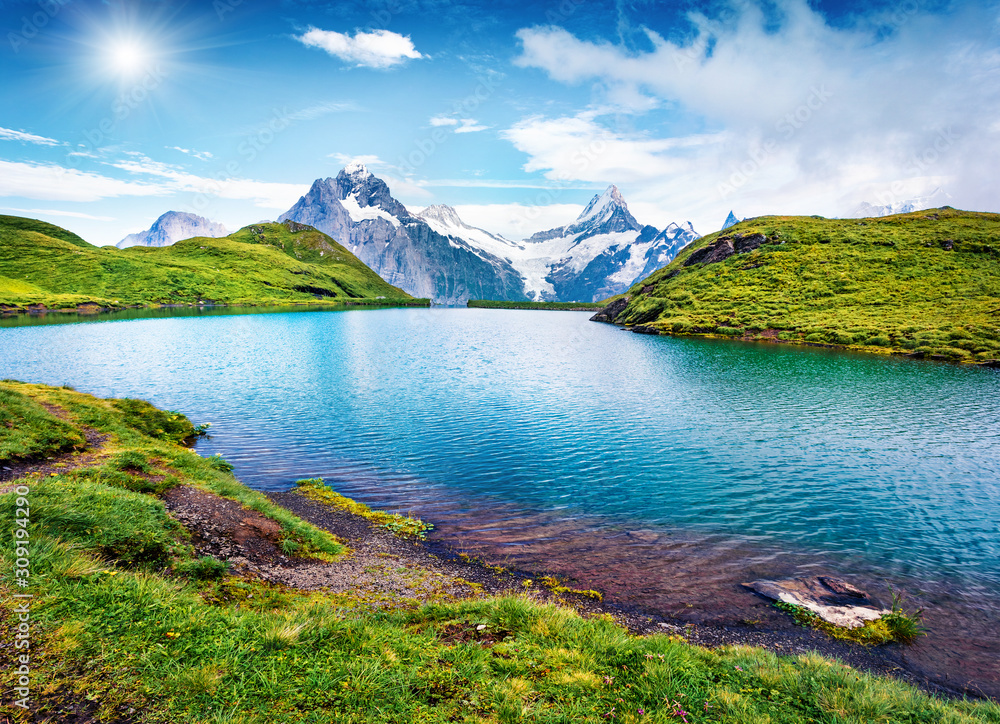 Bachalpsee lake in the morning mist with Schreckhorn peak on background. Green summer scene of Swiss Bernese Alps, Switzerland, Europe. Beauty of nature concept background.