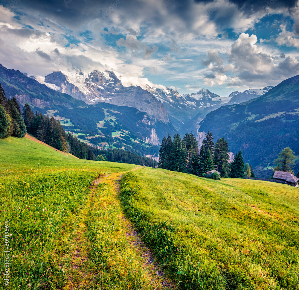 Old country road on the mountain valley. Dramatic summer view of Wengen village. Nice morning scene of countryside in Swiss Alps, Bernese Oberland in the canton of Bern, Switzerland, Europe.