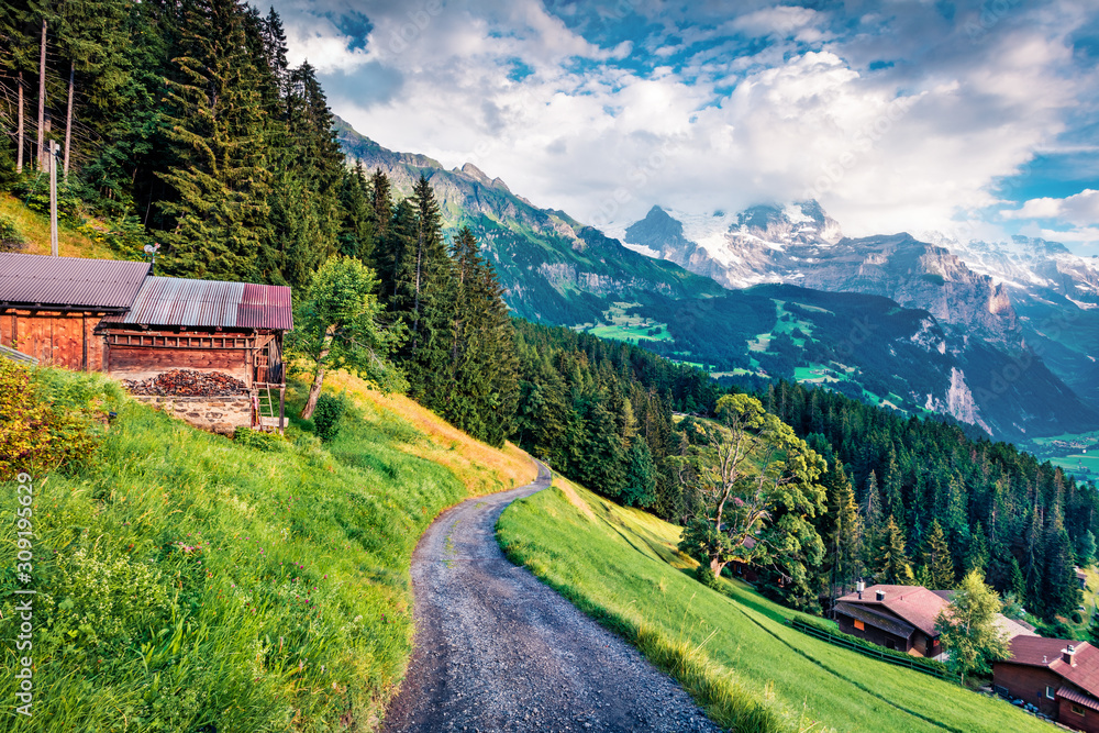 Obraz premium Fresh morning scene of Wengen village. Colorful outdoor view of Swiss Alps, Bernese Oberland in the canton of Bern, Switzerland, Europe. Beauty of nature concept background..