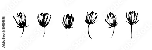 Hand drawn abstract modern flowers set painted by ink. Grunge style brush painting vector blossom silhouettes. Black isolated imprint on white background