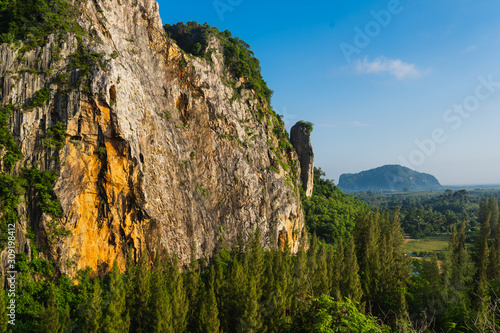 landscape with rock mountain and pine trees