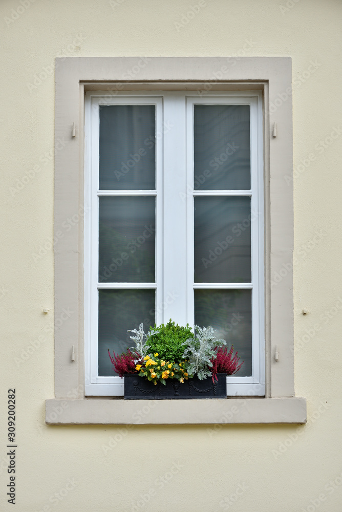 A pot of yellow flowers stands on a windowsill from the street side in a European city A pot of yellow flowers stands on a windowsill from the street side in a European city