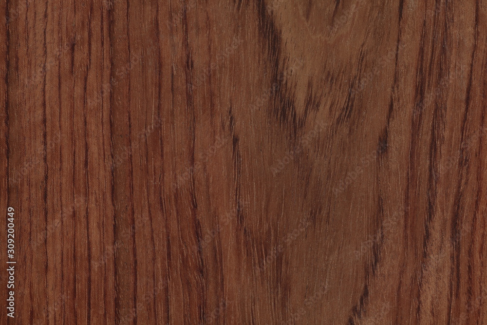 Naklejka premium ブビンガ