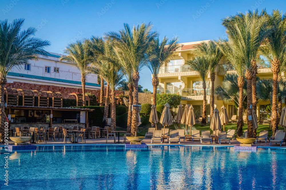 Beautiful clean pool and palm trees at a tropical resort in Egypt
