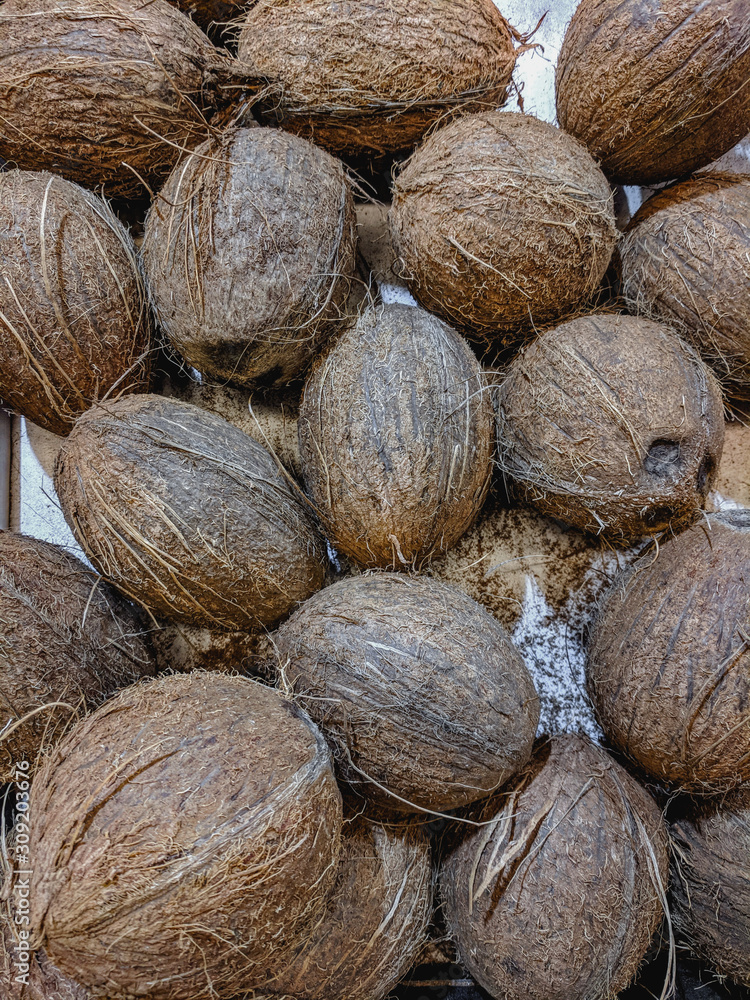 coconuts on the market coconuts on the market