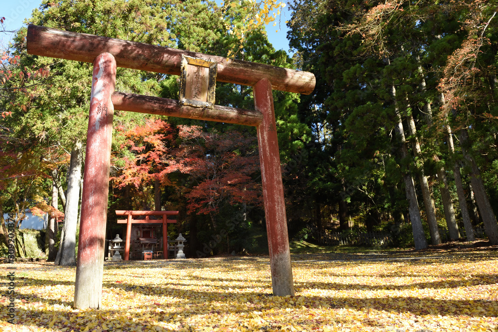 Koyasan, Japan - November 20, 2019: Red torii at Koyasan town area with japanese maple trees in autumn season.Koyasan located in the Kansai region of Wakayama prefecture Koyasan, Japan - November 20, 2019: Red torii at Koyasan town area with japanese maple trees in autumn season.Koyasan located in the Kansai region of Wakayama prefecture