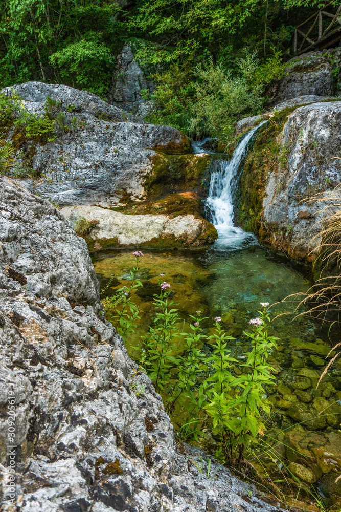 Waterfall and flowers on the background of stones Waterfall and flowers on the background of stones
