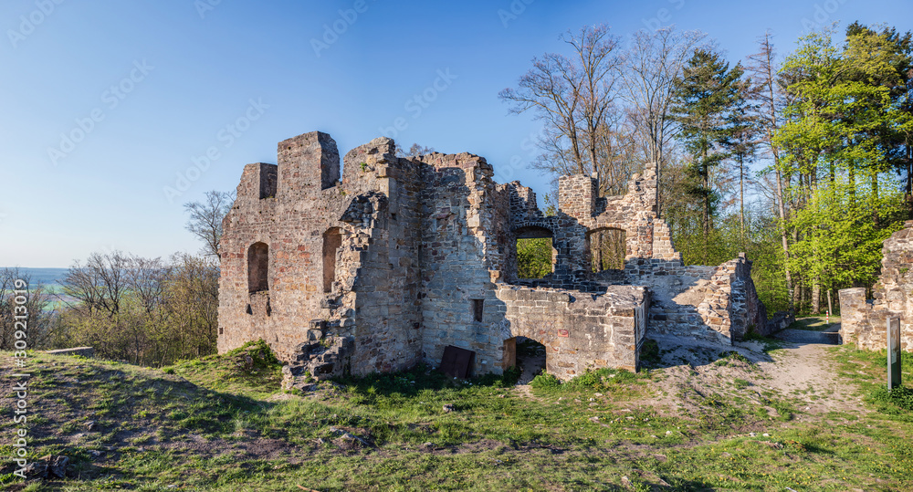 Ruin of castle Raueneck in Hassberge
