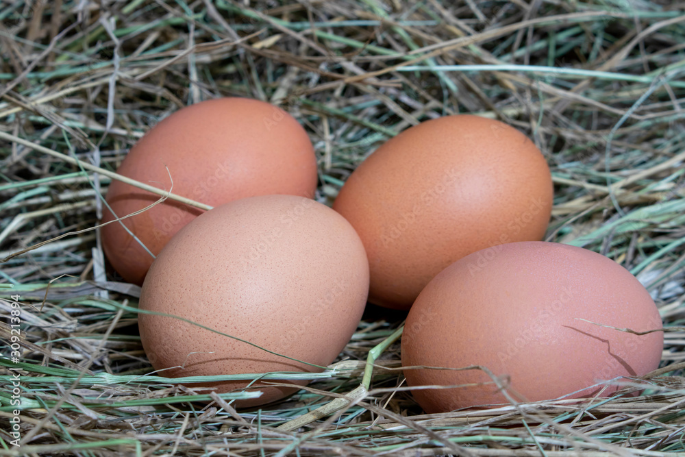 Chicken eggs. Chicken eggs.
