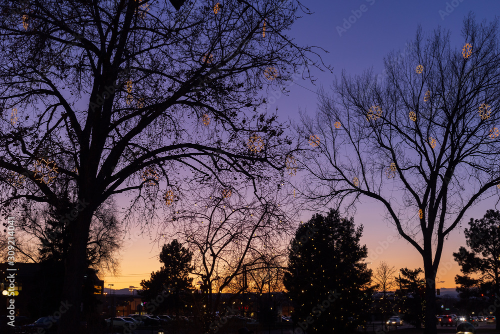 Holiday tree lights in downtown Parker, Colorado at sunset on a clear evening