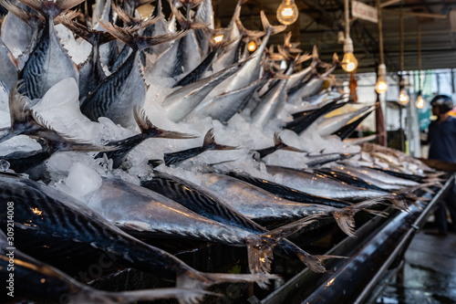 Street fish market. Fresh catch of fish in ice.