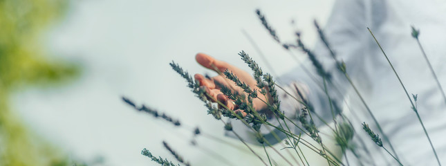 Abundance Feeling.  Mindful Middle-aged Woman Touching Lavender Flowers, Feeling Thankful