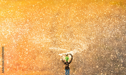 Obraz na płótnie Water springer.motion of water from springer in the garden.