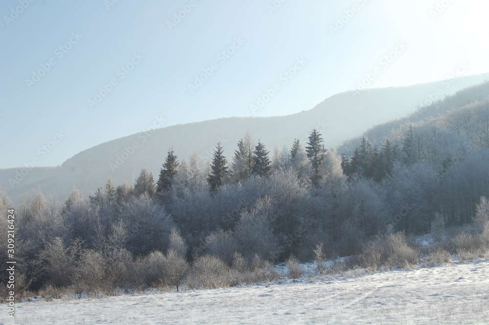 winter landscape with trees and mountains