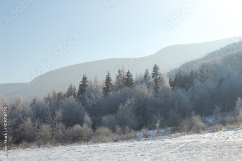 winter landscape with trees and mountains © Koscik.photos