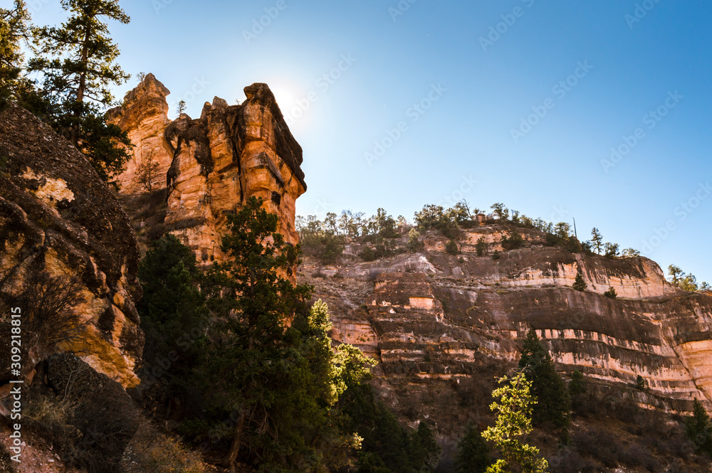 Trees and rock formations in the Grand Canyon in Arizona