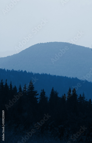 Vertical landscape, background of forest hills in the mountains, classic blue 2020 color, trendy monochrome toning