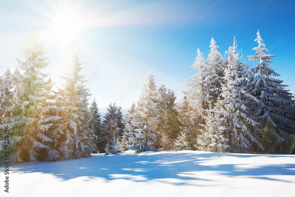 Mesmerizing winter landscape with a snowy slope Mesmerizing winter landscape with a snowy slope