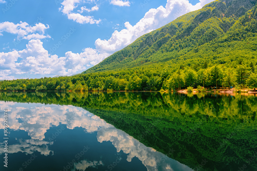 Scenery on Bohinj Lake at Slovenia Nature