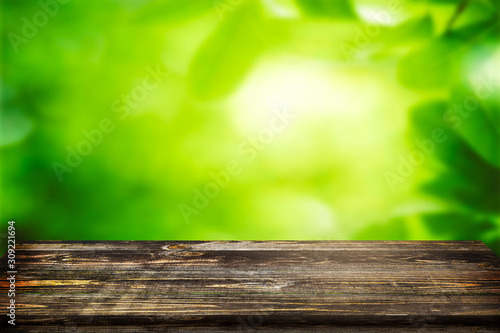 Empty rustic wooden plank against to bright green plants environment for product placement