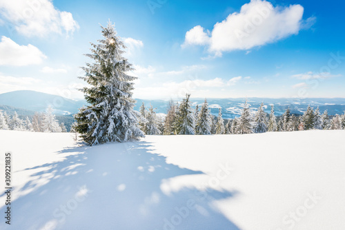 Wallpaper Mural Sunny winter landscape of snowdrifts Torontodigital.ca