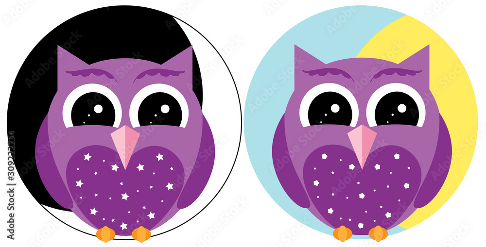 purple owls day and night purple owls day and night