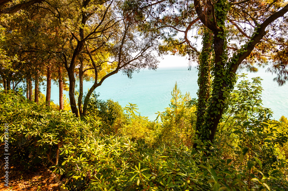 View on Adriatic sea through the rich green overgrown forest on the mountains in Numana, Region of Marche in Italy View on Adriatic sea through the rich green overgrown forest on the mountains in Numana, Region of Marche in Italy
