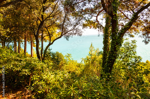 View on Adriatic sea through the rich green overgrown forest on the mountains in Numana, Region of Marche in Italy