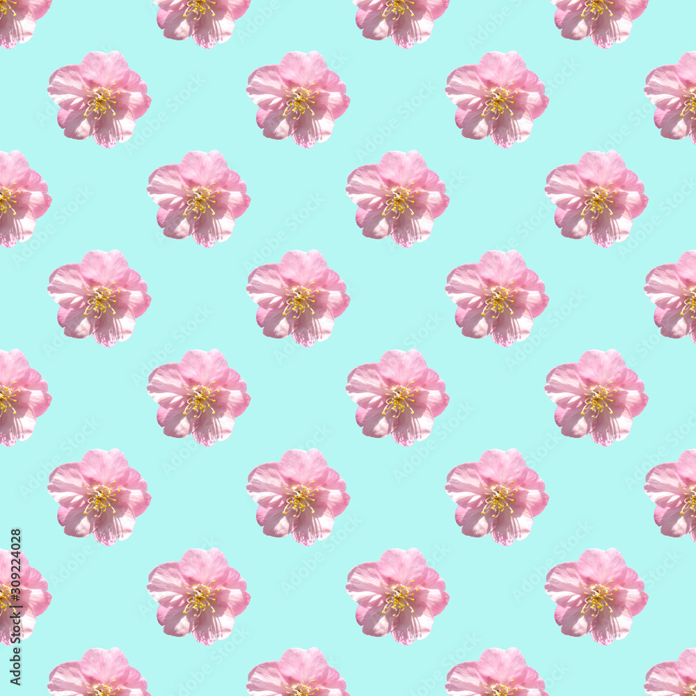 Seamless pattern of sakura flowers on  green pastel background,design for wallpaper ,card, backdrop or advertisement cutout
