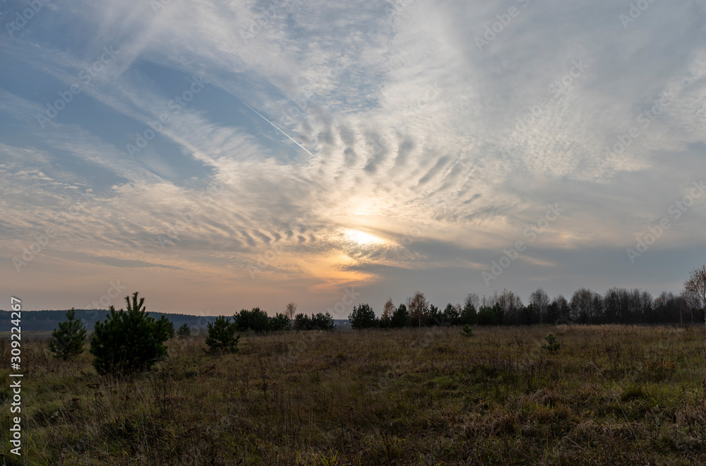 Evening picturesque country landscape. Ribbed clouds, the white trail of an airplane in the sky, the low setting sun, the bright glow of sunset over a spacious field with dark silhouettes of trees