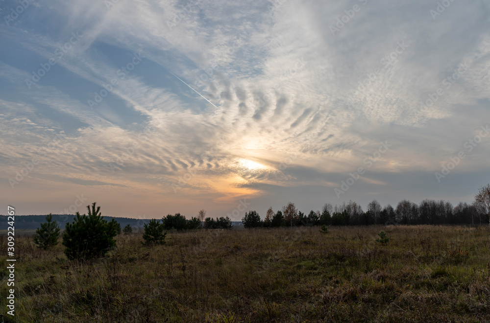 Evening picturesque country landscape. Ribbed clouds, the white trail of an airplane in the sky, the low setting sun, the bright glow of sunset over a spacious field with dark silhouettes of trees Evening picturesque country landscape. Ribbed clouds, the white trail of an airplane in the sky, the low setting sun, the bright glow of sunset over a spacious field with dark silhouettes of trees
