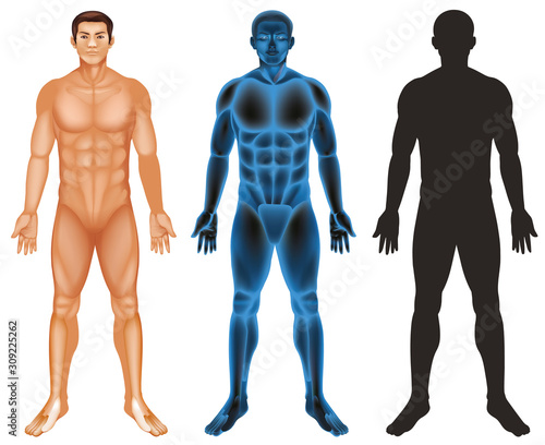 Human body on white background