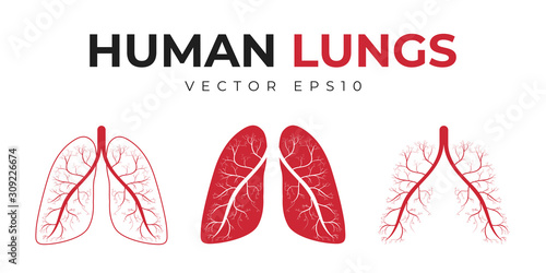 Human lungs. Set of icons and medical symbols, human lungs with abstract structure