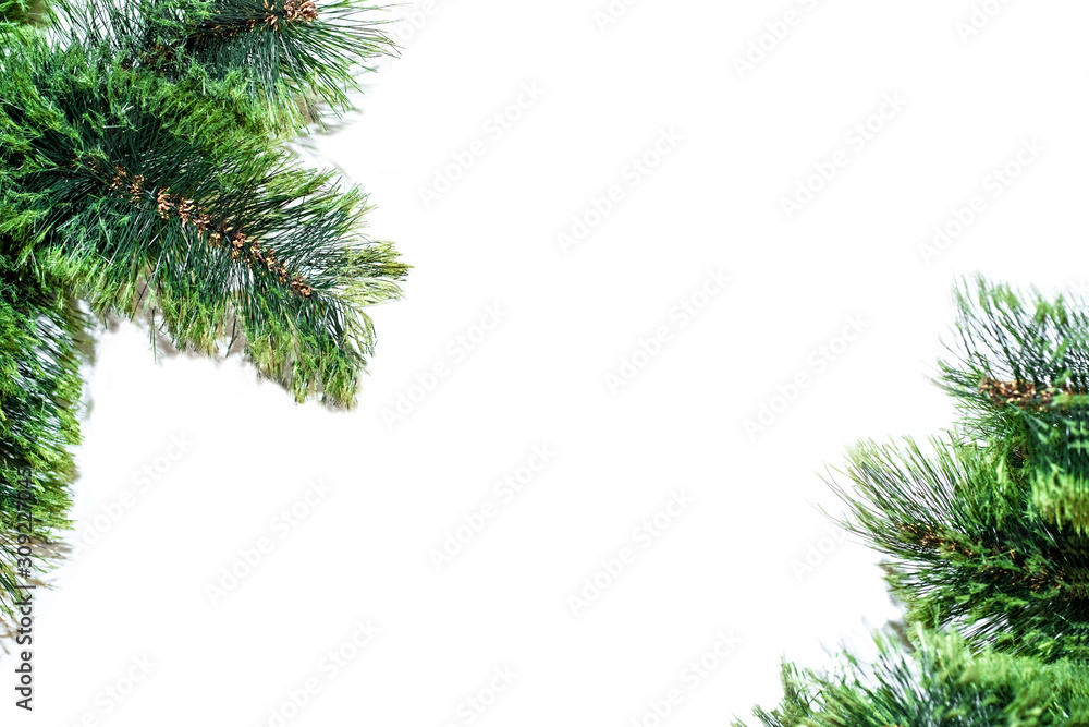 Closeup fluffy fir fir branch isolated on white background. View from above. Closeup fluffy fir fir branch isolated on white background. View from above.