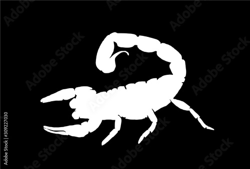 Graphical scorpion silhouette isolated on black background,vector illustration, sea-food