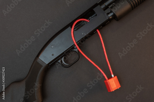 12 Gauge shotgun with cable lock.