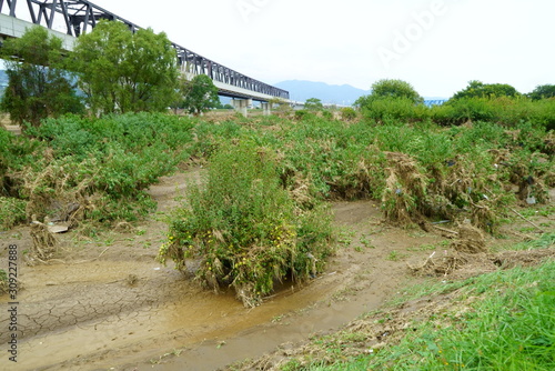 Flood damage caused by typhoon 19 