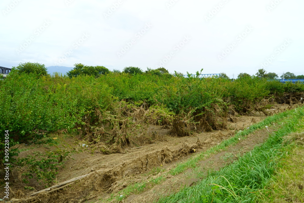 Flood damage caused by typhoon 19 