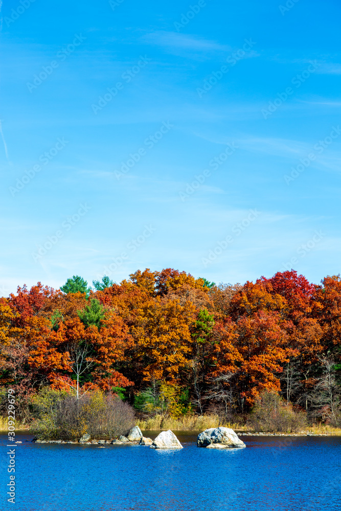 Obraz premium mage of Peak Foliage taken in New Hampshire in New England