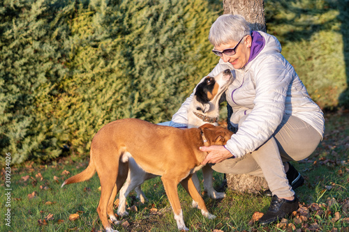 older woman with Winter clothes and glasses playing with two Young dogs in the garden photo