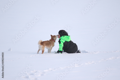 Fototapeta Naklejka Na Ścianę i Meble -  雪野原でキスする柴犬の子犬と男の子