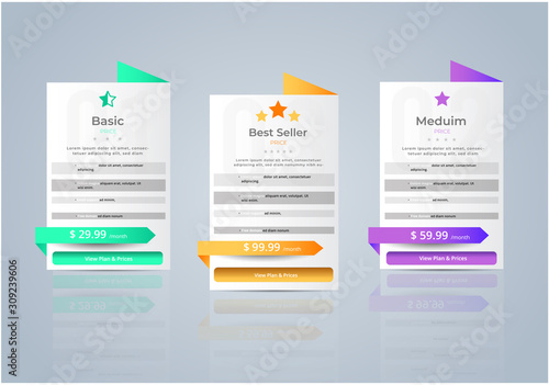 Host Pricing Table for plan website banner. Customer buy package used.Vector illustration