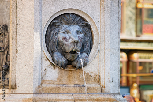 Lion of Leopoldsbrunnen fountain on Graben Street in Vienna photo