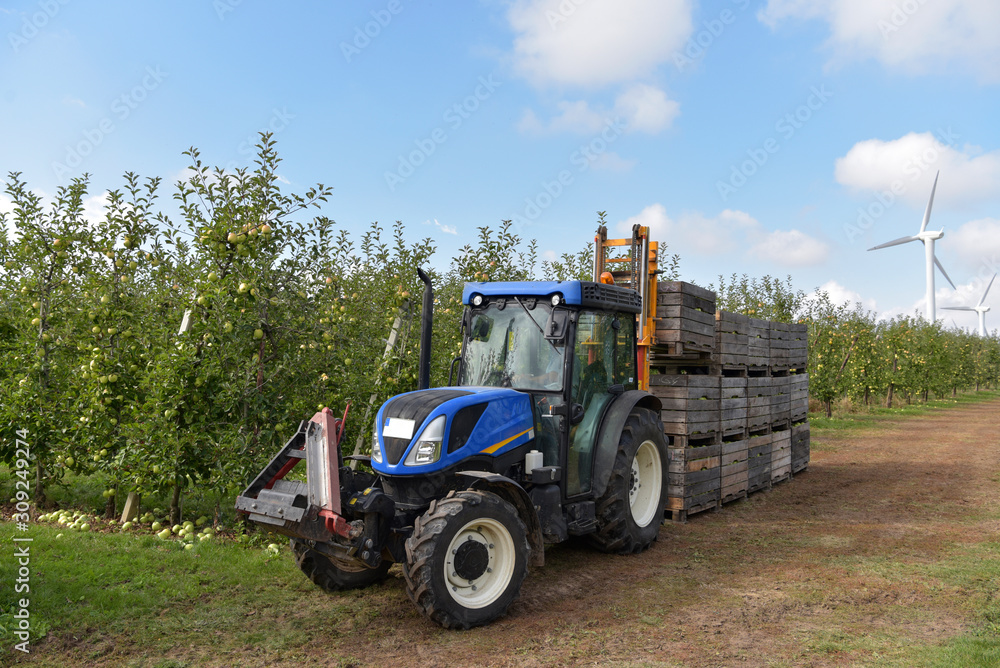 Tractor with boxes of harvested apples on a fruit plantation Tractor with boxes of harvested apples on a fruit plantation