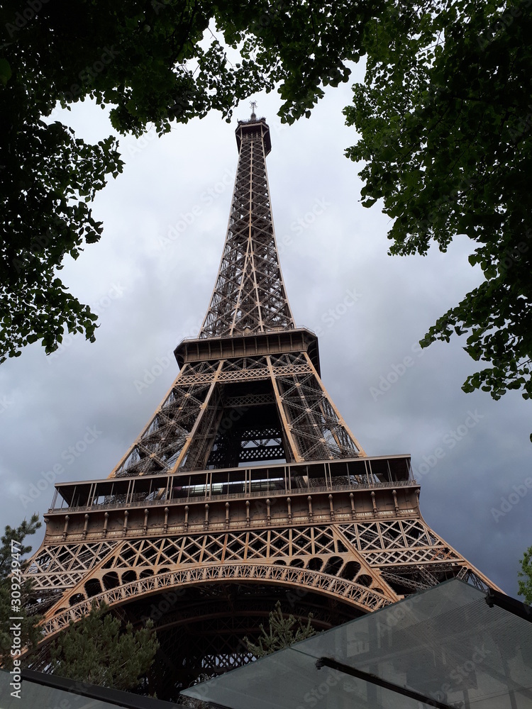 Torre Eiffel Arboles - Torre Eiffel Trees