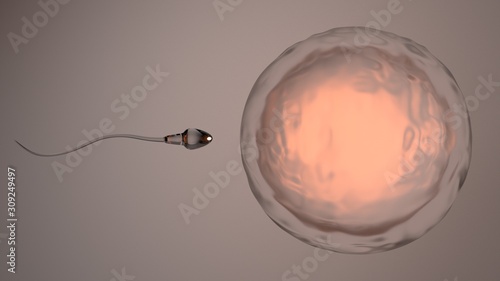 Fertilization of human egg by sperm cell, spermatozoons, 3D-rendering photo