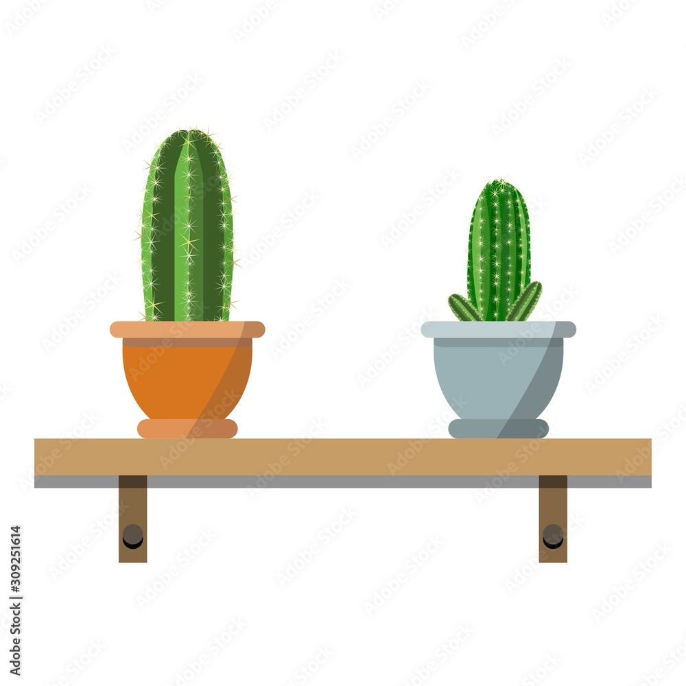 2 potted cactus plants in nice colorful flower pots against white wall. House plants on woden shelf isolated on white 2 potted cactus plants in nice colorful flower pots against white wall. House plants on woden shelf isolated on white