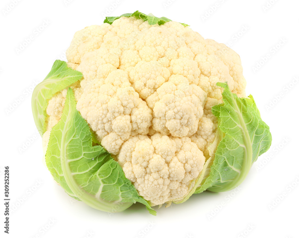 cauliflower isolated on white background. head of cauliflower cauliflower isolated on white background. head of cauliflower