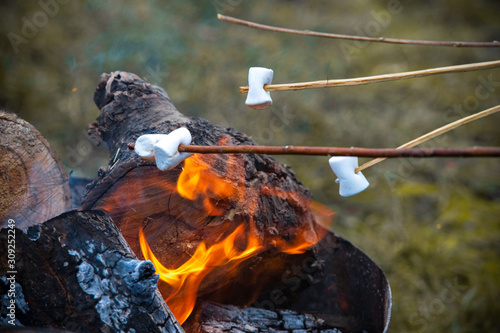Marshmallows am Lagerfeuer