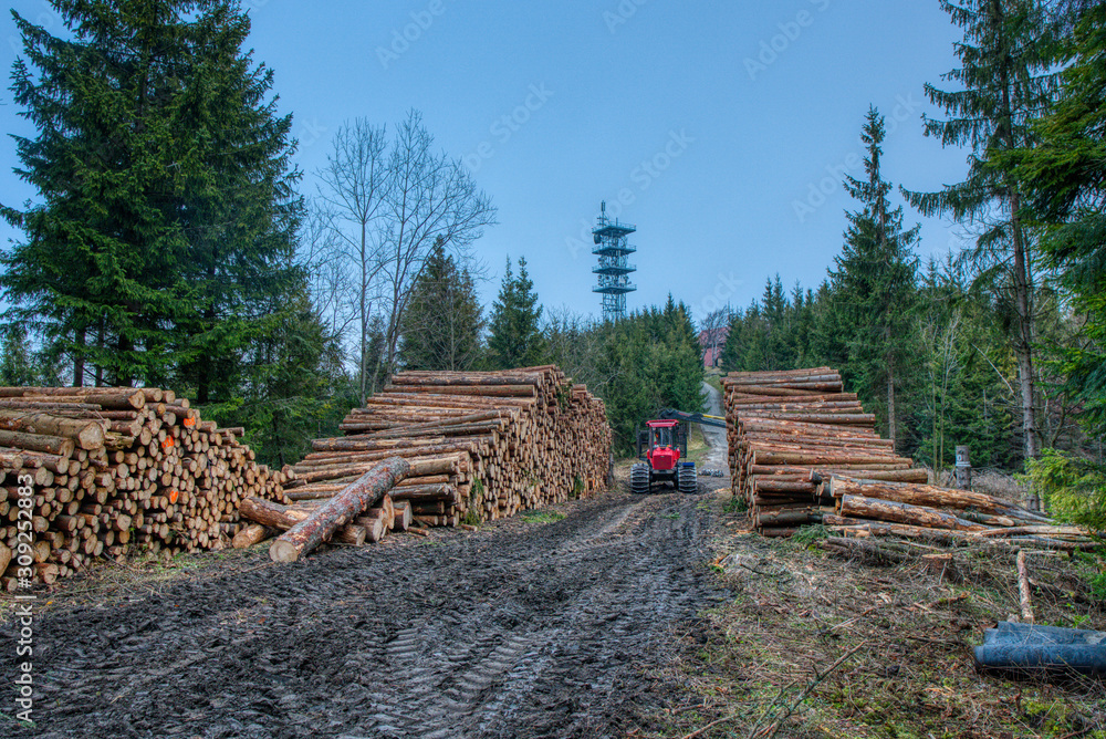 wood storage in the forest with the technology ready for transport